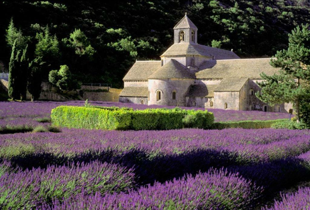 Au Bastidon De Gordes Villa ภายนอก รูปภาพ